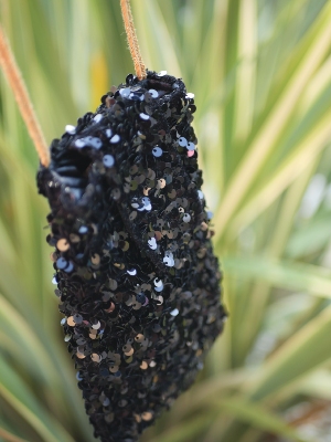 Etui téléphone sequins Noir - Glitter Noir 