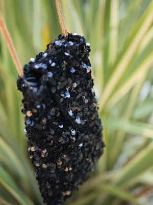 Etui téléphone sequins Noir - Glitter Noir 